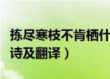 拣尽寒枝不肯栖什么意思（拣尽寒枝不肯栖原诗及翻译）