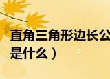 直角三角形边长公式（直角三角形的边长公式是什么）