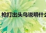 枪打出头鸟说明什么道理（枪打出头鸟含义）