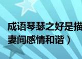 成语琴瑟之好是描述（成语琴瑟之好是描述夫妻间感情和谐）
