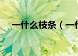 一什么枝条（一什么枝条填空的量词有）