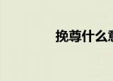 挽尊什么意思（挽尊解释）
