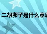 二胡卵子是什么意思（二胡卵子意思是什么）