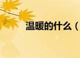 温暖的什么（温暖的组词有什么）