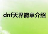 dnf天界徽章介绍（dnf天界徽章介绍简述）