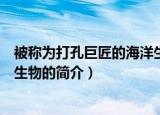 被称为打孔巨匠的海洋生物是什么（被称为打孔巨匠的海洋生物的简介）