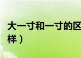 大一寸和一寸的区别（大一寸和一寸有何不一样）