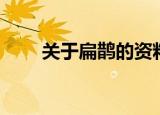 关于扁鹊的资料（扁鹊资料有哪些）