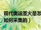 现代奥运圣火是怎么采集的（现代奥运圣火是如何采集的）