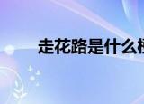 走花路是什么梗（走花路源于哪里）