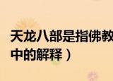 天龙八部是指佛教中的什么（天龙八部在佛教中的解释）