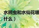 水熊虫和水仙花哪个生命强（水仙花的特点是什么）
