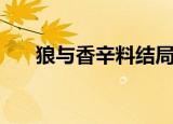 狼与香辛料结局（小说结局太美满了）