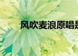 风吹麦浪原唱是谁（风吹麦浪简介）