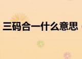 三码合一什么意思（三码合一的意思是什么）