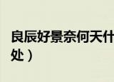 良辰好景奈何天什么意思（良辰好景奈何天出处）