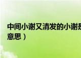 中间小谢又清发的小谢是什么意思（中间小谢又清发是什么意思）