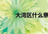 大湾区什么意思（什么是大湾区）