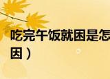 吃完午饭就困是怎么回事（吃完午饭就困的原因）