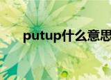 putup什么意思（putup是什么意思）