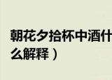 朝花夕拾杯中酒什么意思（朝花夕拾杯中酒怎么解释）