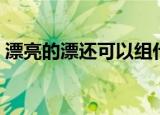 漂亮的漂还可以组什么词（用漂亮的漂组词）