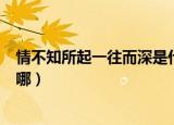 情不知所起一往而深是什么意思（情不知所起一往而深出自哪）