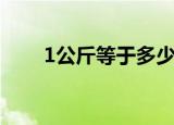 1公斤等于多少升（1公斤水是几升）