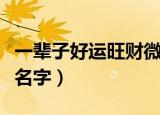 一辈子好运旺财微信名（聚财带好运气的微信名字）