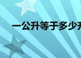 一公升等于多少升（一公升就是一升吗）