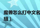魔兽怎么打中文名字（魔兽打中文名字方法介绍）