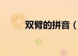 双臂的拼音（双臂的拼音及解释）