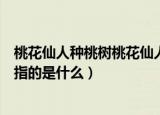 桃花仙人种桃树桃花仙人指的是（桃花仙人种桃树桃花仙人指的是什么）