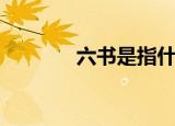 六书是指什么（什么是六书）
