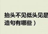 抬头不见低头见是什么意思（抬头不见低头见造句有哪些）