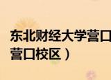 东北财经大学营口录取分数线（东北财经大学营口校区）