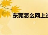 东莞怎么网上选车牌号（详细步骤）