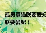 孤男寡猫朕要爱妃txt百度云下载（孤男寡猫 朕要爱妃）