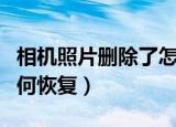 相机照片删除了怎么恢复（相机照片删除了如何恢复）