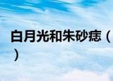 白月光和朱砂痣（白月光和朱砂痣是什么意思）