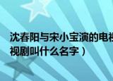 沈春阳与宋小宝演的电视剧叫什么（沈春阳与宋小宝演的电视剧叫什么名字）