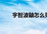宇智波鼬怎么死的（大家可以看看）