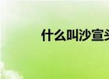 什么叫沙宣头（沙宣头的解释）