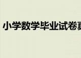 小学数学毕业试卷真题（小学数学毕业试卷）
