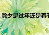 除夕是过年还是春节是过年（除夕是过年吗）