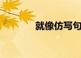 就像仿写句子（就像爱着你）