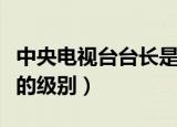中央电视台台长是什么级别（中央电视台台长的级别）