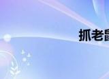 抓老鼠（抓娱网）