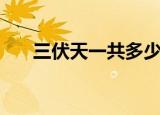 三伏天一共多少天（三伏天共多少天）