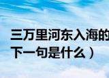 三万里河东入海的下一句（三万里河东入海的下一句是什么）